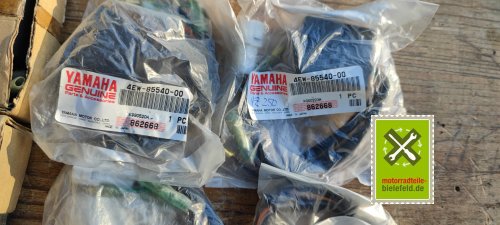 IMG_20230823_191849
